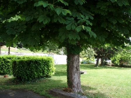 Le jardin de l'glise